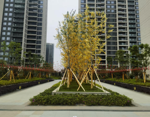 1706759628115634.jpg 图片4.jpg