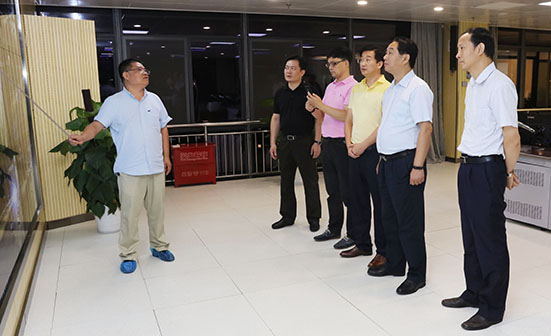 xh6388新濠天地·(中国区)有限公司官网